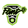 Flint Logo Vector Flint Logo Vector